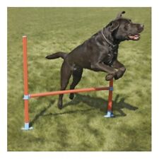Rosewood dog agility for sale  GREAT YARMOUTH