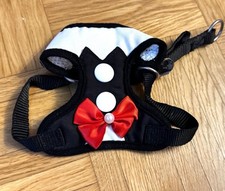 Hunde kostüm anzug gebraucht kaufen  Aidlingen