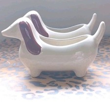 Dachshund sausage dog for sale  TENTERDEN