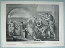 1903 natural history for sale  YORK