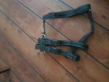 Sicherheitsgurt anione geschir gebraucht kaufen Sicherheitsgurt anione geschir gebraucht kaufen  Zschopau