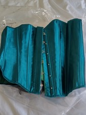 Chicastic label green for sale  GUILDFORD