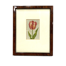 Antique 1916 lithograph for sale  Springfield