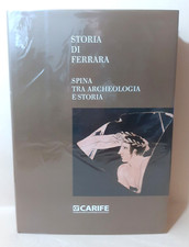 Storia ferrara spina usato  Rovigo