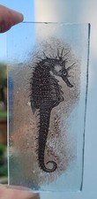 Stained glass seahorse for sale  BATTLE