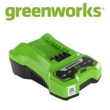 Greenworks caricabatterie 24v usato  Potenza