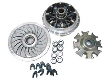 Variatore malossi kymco usato  Italia