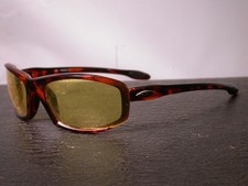 Smith district tortoise for sale  Tacoma