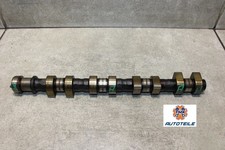 Pel astra tigra gebraucht kaufen  Gelsenkirchen