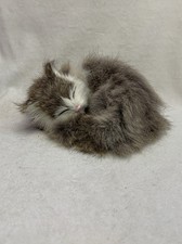 Vintage sleeping kitty for sale  Winnsboro