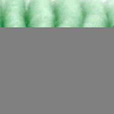 Aquariumline import macro usato  Terlizzi