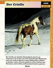 Criollo infokarte gebraucht kaufen  Berlin