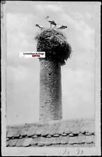Plaque verre photo d'occasion  Grenade