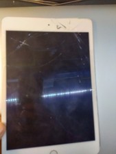 Apple ipad mini usato  Maniago