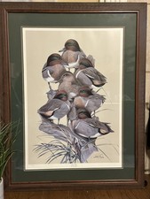 Ducks unlimited teal for sale  Pea Ridge