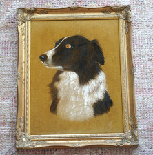 Vintage sheepdog border for sale  NORWICH