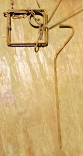 3pk conibear body for sale  Herrin