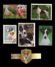 Fox terrier smooth for sale  UK