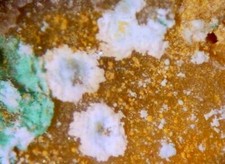 Usado, ZAPATALITE - Tipo Localidade - Água Prieta, Sonora, MÉXICO comprar usado  Enviando para Brazil