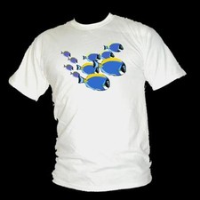 Blue tang fish for sale  ROMNEY MARSH