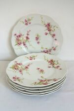 Assiettes dessert fleuries d'occasion  Sisteron