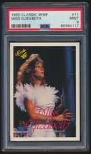 1990 classic wwf for sale  Urbandale