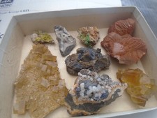 specimens for sale specimens for sale NORWICH