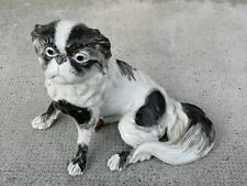 Japanese spaniel dog d'occasion  Expédié en Belgium