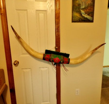 texas long horn for sale texas long horn for sale Smithville