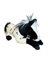 appaloosa filly for sale appaloosa filly for sale Ames