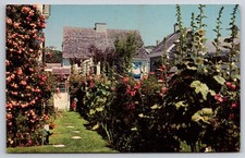Vtg postcard washington for sale Vtg postcard washington for sale  Concord