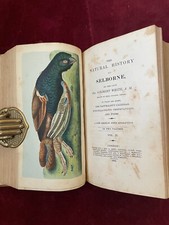 natural history selborne for sale natural history selborne for sale LONDON