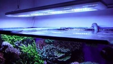 Aquarium beleuchtung giesemann gebraucht kaufen  Haselbach
