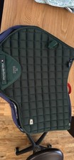 Premier equine alberta for sale  BEAMINSTER
