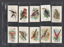 Birds bdv cigarettes for sale  BRIDPORT
