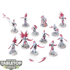Hedonites slaanesh 12x gebraucht kaufen  Hof