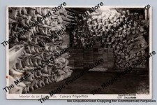 Wrapped sheep heads for sale  USA
