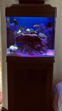 Biocube reef aquarium for sale  San Ramon