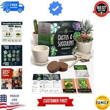garden kit succulent for sale garden kit succulent for sale USA