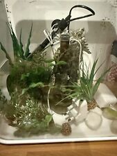 Biorb flow aquarium for sale  CAMBERLEY
