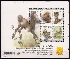 2004 gioventù cavalli usato  Trambileno