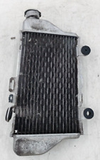 Radiatore acqua destro usato  Lamezia Terme