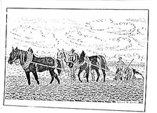 Malle poste 1902 d'occasion  Tournus