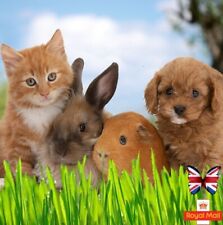 Pet grass 1000 for sale  CHIGWELL