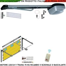 Basculante sezionale motore usato  Roma