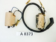 Coppia bobine nippondenso usato Coppia bobine nippondenso usato  Vigevano