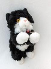 Keel jinx cat for sale  BEDFORD