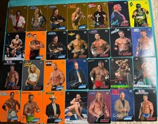 Lotto carte wwe usato  Fiumicino