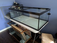 Glass tank fish for sale  Coal City