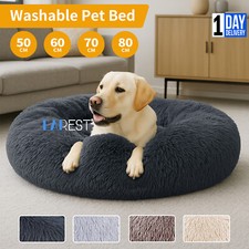 Washable dog bed for sale  NORTHAMPTON